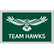 황금아리 HAWKS(토요)